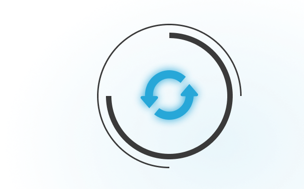 LINK-V service scope